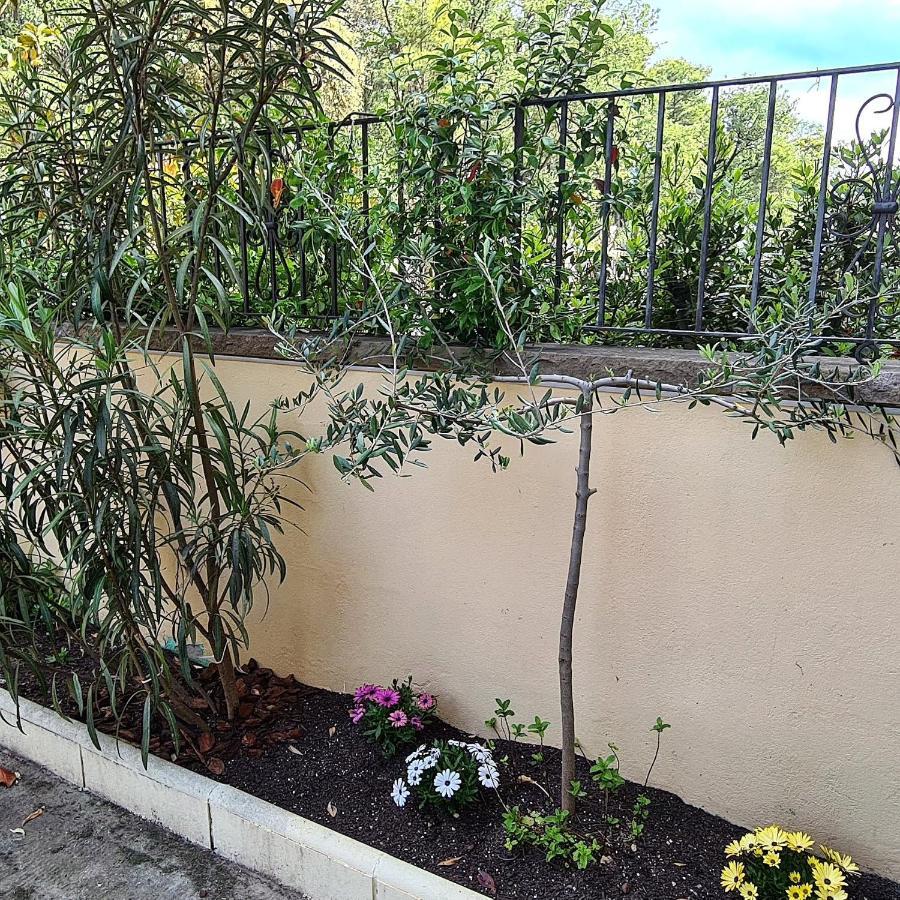 Casa Mon Villa Tiurana Kültér fotó
